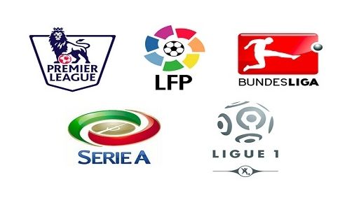 的灵活性 的灵活性