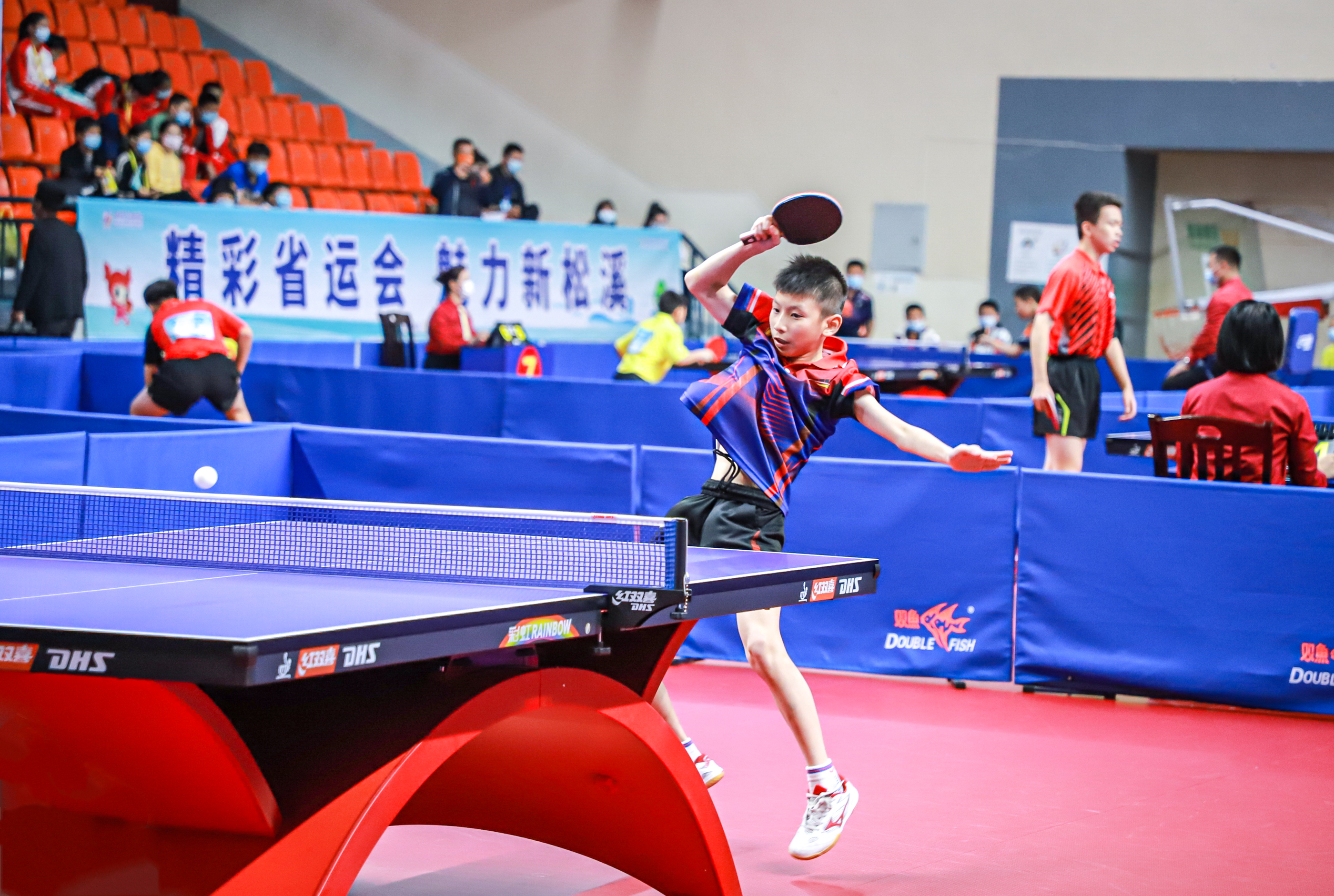 这一决定不 这一决定不